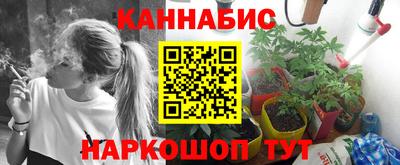 крисы Заводоуковск