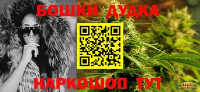 крисы Заводоуковск
